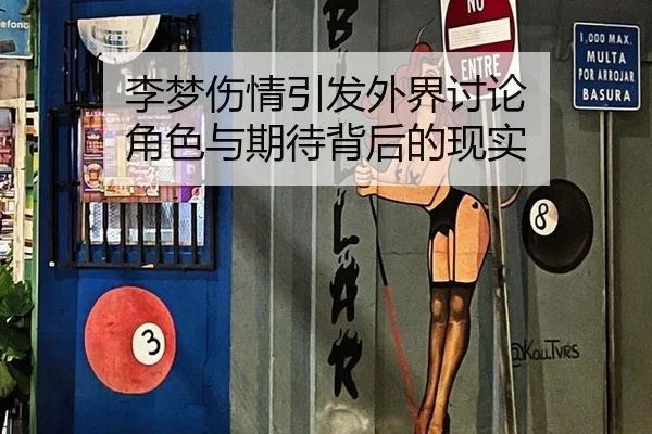 李梦伤情引发外界讨论 角色与期待背后的现实